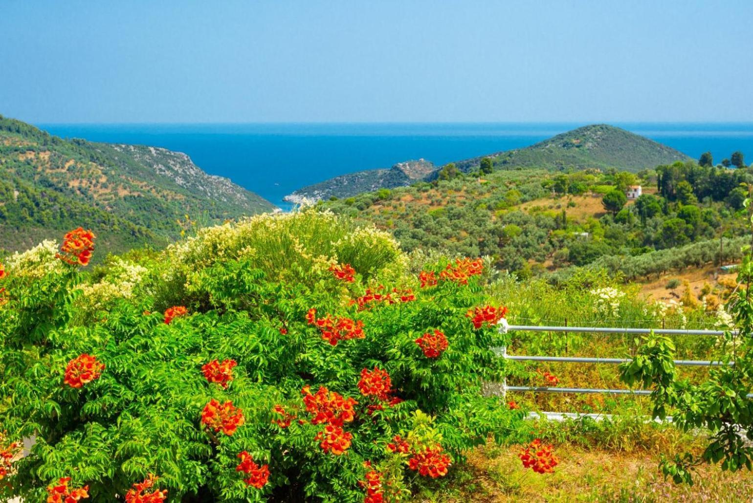 Villa Glafki Panormos  외부 사진